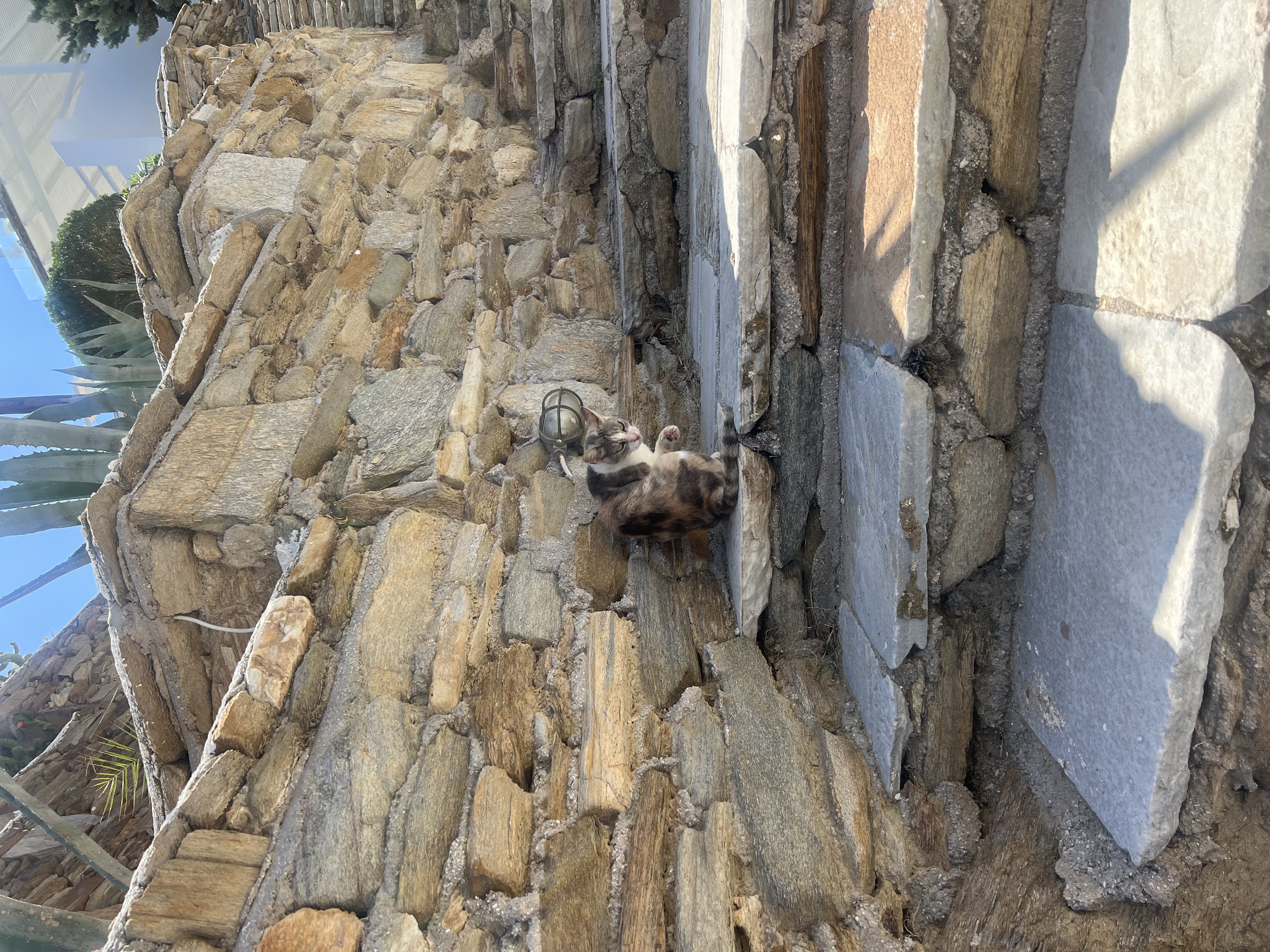 Tall arched Art Deco window with decorative metalwork — London